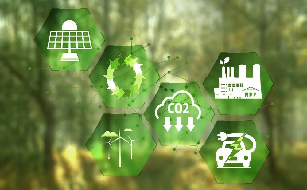 Sustainability for Businesses: Why It Matters and...